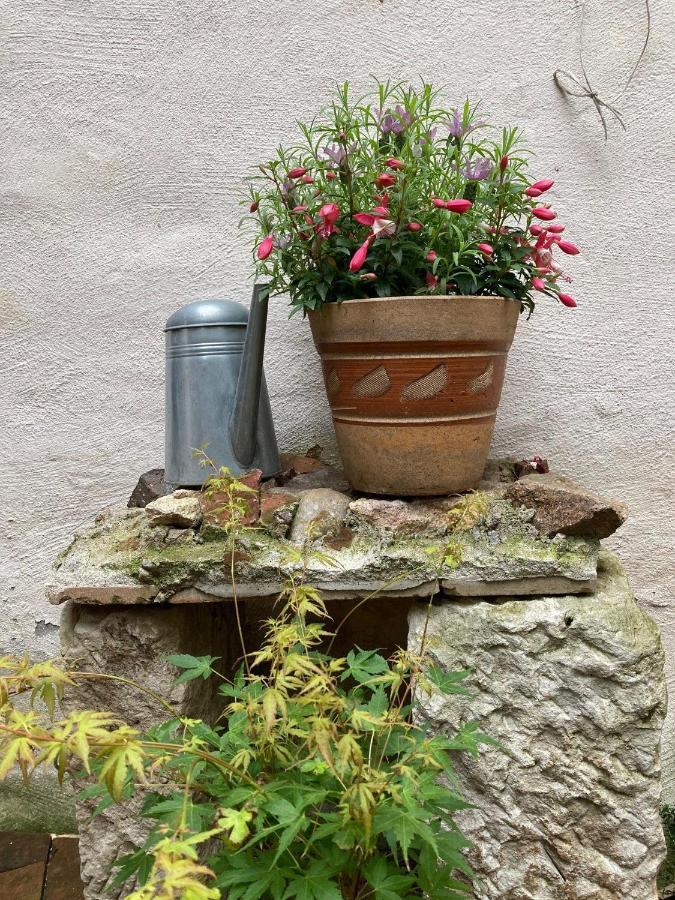 Renaissancestuben Lägenhet Torgau Exteriör bild